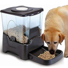 Load image into Gallery viewer, MeterMall 10L Large Capacity Pet Automatic Timing Feeder Recordable Feeding Machine for Dogs
